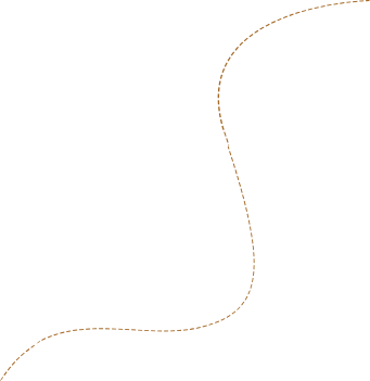 shape